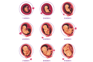 �и������������